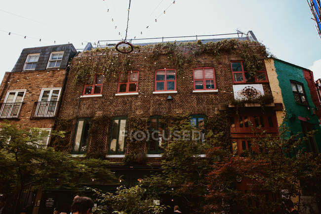 LONDON, UNITED KINGDOM - OCTOBER 23 , 2018: From below shot of mossy facade of ancient brick building on street of London, England — Stock Photo