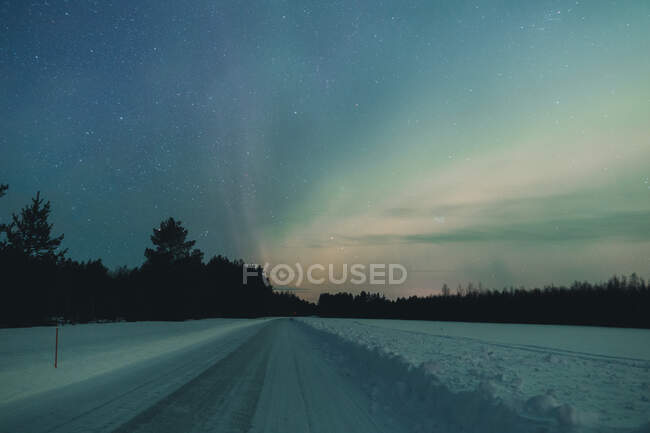 Snowy asphalt road near conifer forest with amazing sky full of star in Arctic countryside — Stock Photo