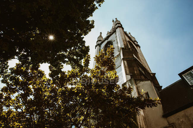 Da sotto colpo di sole splendente sul cielo senza nuvole sopra vecchi edifici e alberi verdi a Londra, Inghilterra — Foto stock