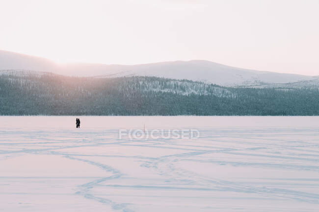 Вид сзади на людей, стоящих на белом снегу возле замерзшей реки в величественной сельской местности Арктики — стоковое фото