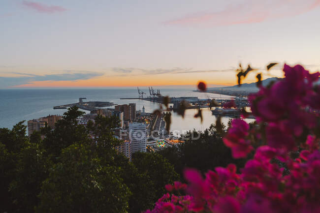 Вид на город и море с холма — стоковое фото
