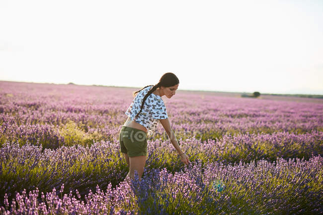 Jeune femme marchant entre champ de lavande violette — Photo de stock