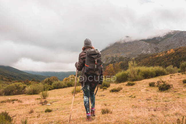 Vue arrière de dame en chapeau et veste de ski avec sac à dos et bâton de marche marchant sur la prairie près de la montagne dans les nuages à Isoba, Castille et Léon, Espagne — Photo de stock