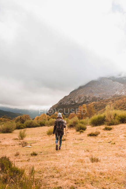 Back view of lady in hat and ski jacket with knapsack and walking stick walking on meadow near mountain in clouds in Isoba, Castile and Leon, Spain — Stock Photo