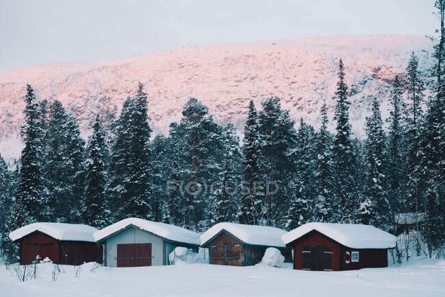 Piccoli fienili vicino a conifere e montagne nella maestosa campagna artica durante la giornata invernale — Foto stock