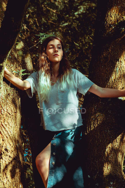 Affascinante giovane signora in abbigliamento casual in piedi vicino al legno nel parco in tempo soleggiato — Foto stock