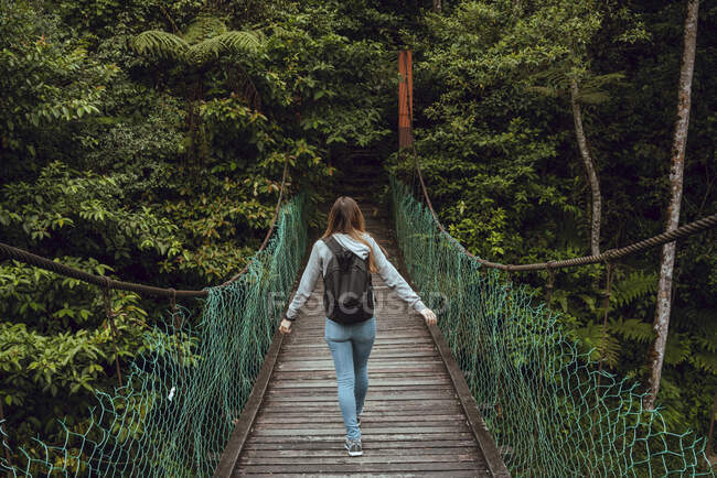 Visão traseira jovem senhora magro com mochila indo na ponte suspensa para madeiras exóticas verdejantes na Malásia — Fotografia de Stock