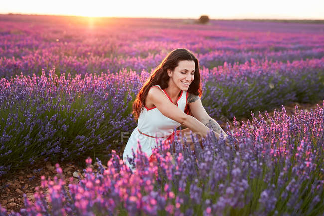 Feliz dama atractiva sentada entre hermosas flores moradas en el campo de lavanda - foto de stock