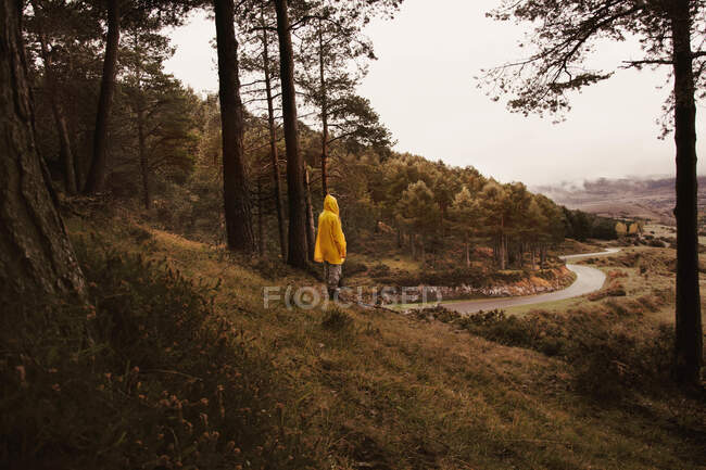 Vue latérale de l'homme en imperméable jaune sur la colline entre la forêt et la vue sur les terres avec route à Isoba, Castille et Léon, Espagne — Photo de stock