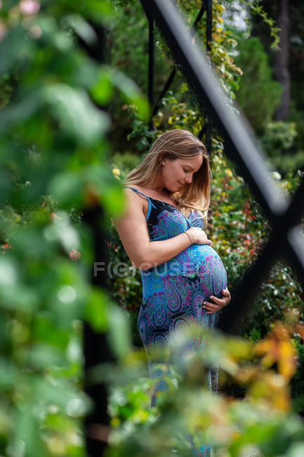 Pregnant woman holding belly — Stock Photo