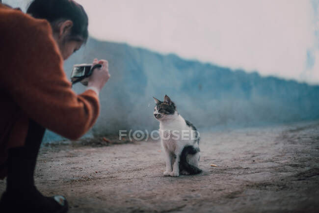 Женщина фотографирует бездомного кота — стоковое фото