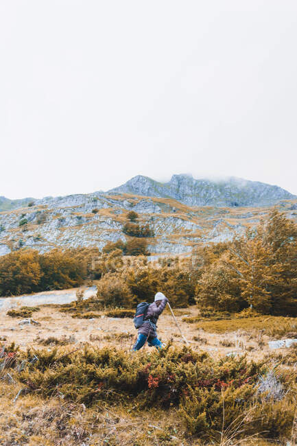 Vista laterale dell'uomo con zaino sul prato, cielo nuvoloso e vista sulle montagne con foresta in Isoba, Castiglia e Leon, Spagna — Foto stock