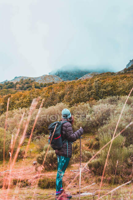 Vista posteriore di una persona con zaino sul prato, cielo nuvoloso e vista sulle montagne con foresta in Isoba, Castiglia e Leon, Spagna — Foto stock