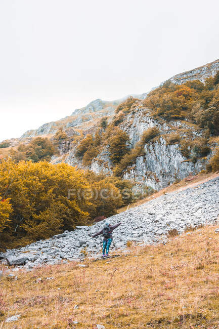 Vista posterior de una persona con mochila en el prado, cielo nublado y vista sobre las montañas con bosque en Isoba, Castilla y León, España - foto de stock