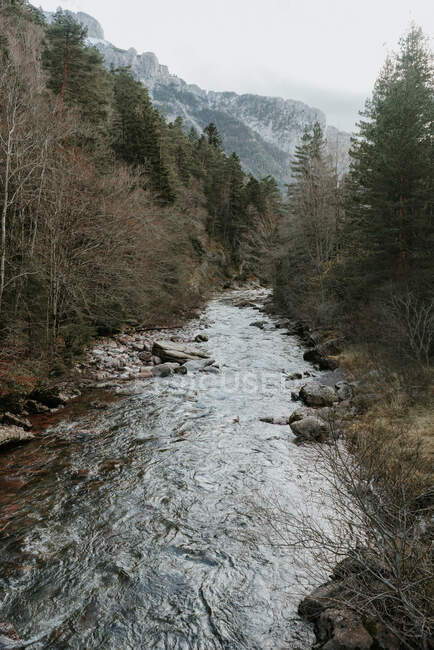 D'en haut vue pittoresque de la rivière entre les bois et les montagnes magnifiques dans les Pyrénées — Photo de stock