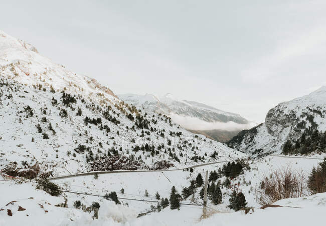 Malerischer Blick auf hohe Berge mit Bäumen im Schnee in den Pyrenäen — Stockfoto