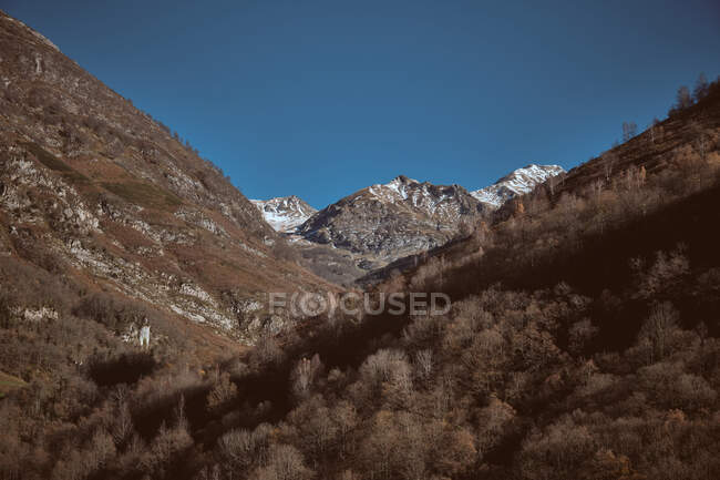 Wonderful view of high snow mountains and trees on hills — Stock Photo