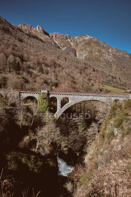 Мост над деревьями возле холмов — стоковое фото