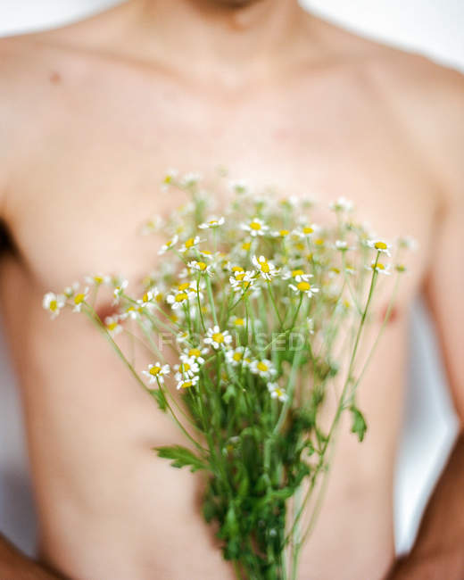 Imagem cortada de jovem shirtless cara com flores brancas frescas em mãos — Fotografia de Stock