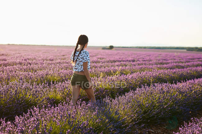 Jovem caminhando entre campo de lavanda violeta — Fotografia de Stock
