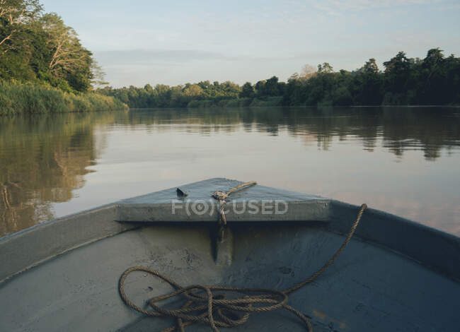Arc du navire naviguant sur la rivière entre forêt exotique sur les rives en Malaisie — Photo de stock