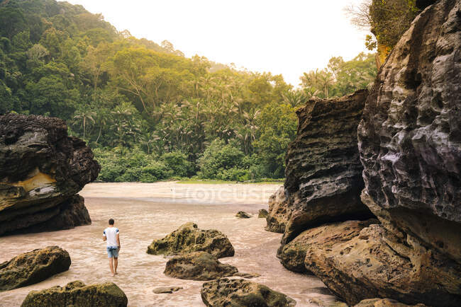 Back view young guy between rocks on sand beach near green tropical forest in Malaysia — Stock Photo