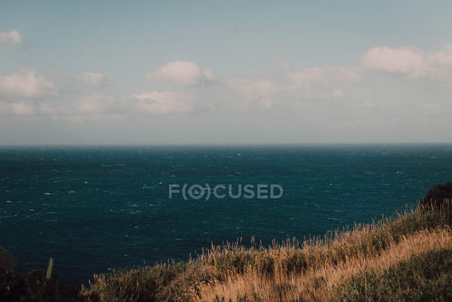Vista de la tranquila superficie del mar y la hierba costera - foto de stock