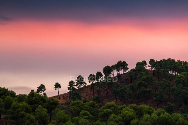 Magnifico cielo al tramonto sulla collina e alberi verdi in campagna maestosa — Foto stock