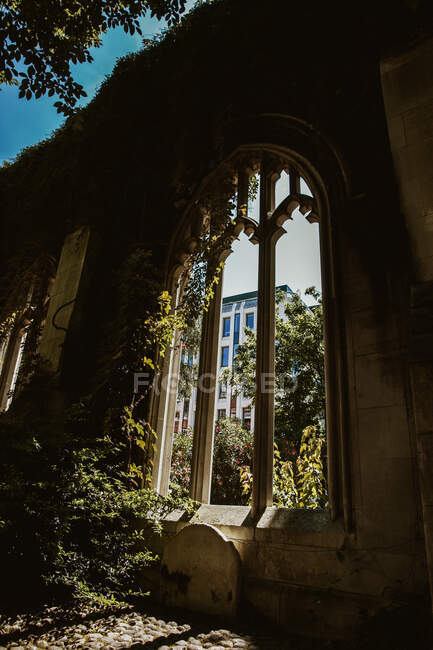 Alberi e vecchio edificio in giardino — Foto stock