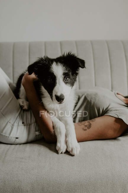 Девочка-подросток с милым щенком на диване — стоковое фото
