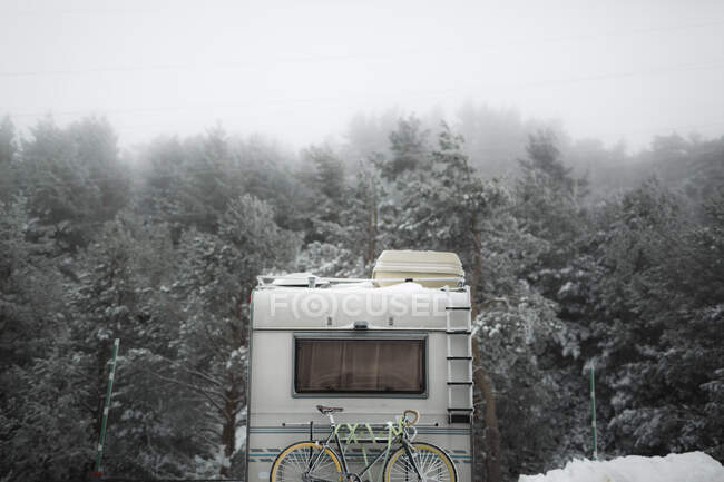 Camion moderne chevauchant à travers la magnifique forêt de conifères sur une magnifique journée d'hiver — Photo de stock