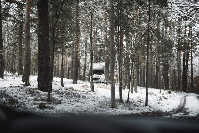 Camion moderne chevauchant à travers la magnifique forêt de conifères sur une magnifique journée d'hiver — Photo de stock