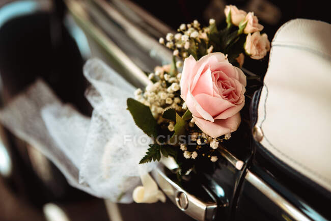 Зверху крупним планом свіжа красива троянда висить на ручці старовинного автомобіля — стокове фото