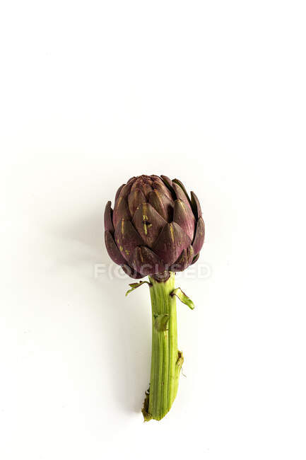 Fresh raw artichokes. On white background. Flat lay. Top view — Stock Photo