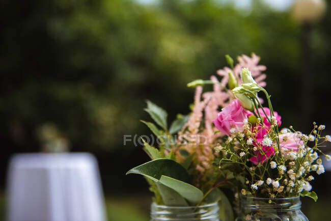 Beautiful fresh rose blooms in glass cans near green plants on blurred background — Stock Photo