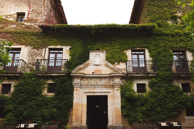Красивый фасад старинного здания с зелеными растениями, растущими на стенах — стоковое фото