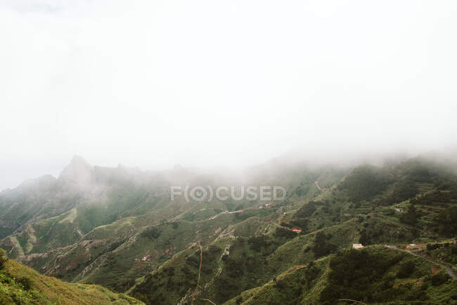 Niebla sobre hermoso terreno montañoso - foto de stock