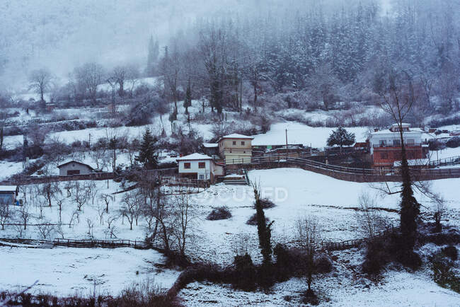 Incrível vale de inverno perto de colinas — Fotografia de Stock