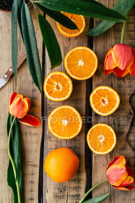 Сверху красивые тюльпаны и свежие апельсины на деревянной поверхности возле ножа и листьев растения . — стоковое фото