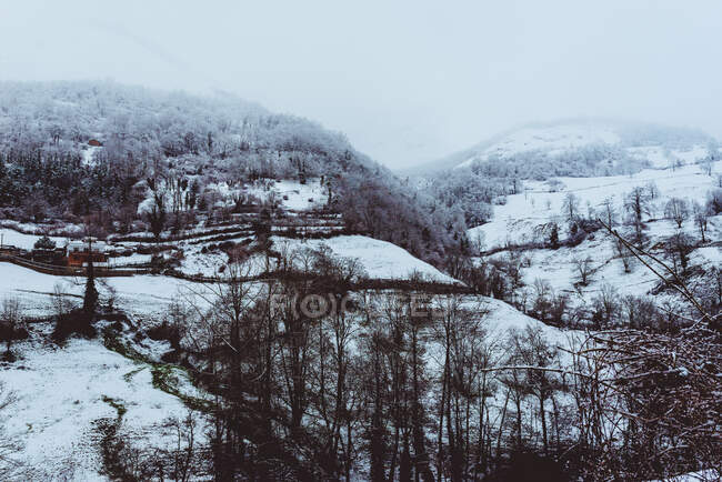 Живописный вид снежных земель и холмов с лесом и облачным небом — стоковое фото