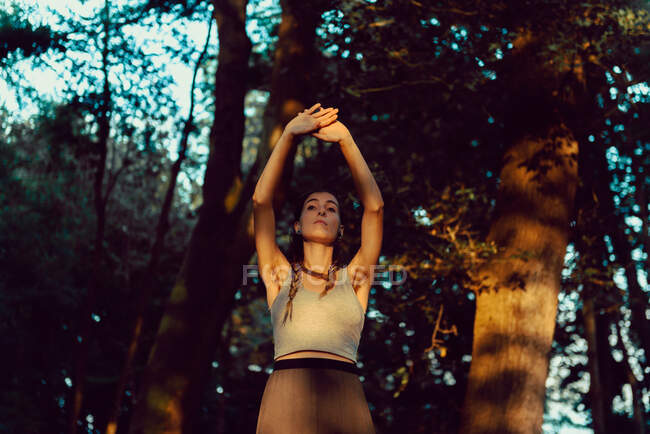 Jeune femme dans une forêt majestueuse — Photo de stock
