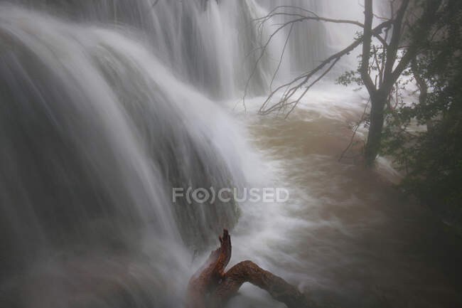 Wunderbarer Wasserfall in der Nähe von Baum — Stockfoto