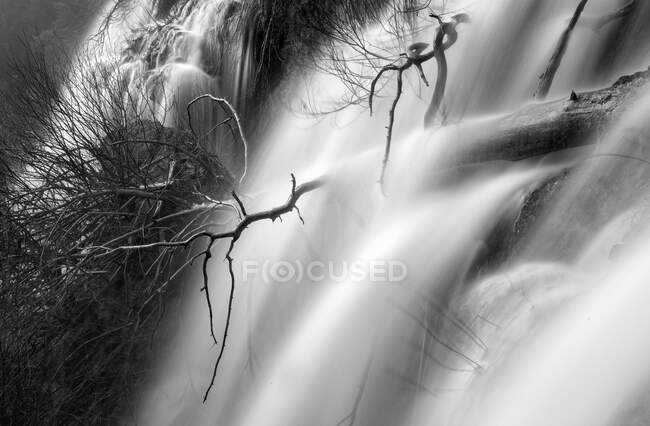 Чудовий водоспад біля дерева — стокове фото