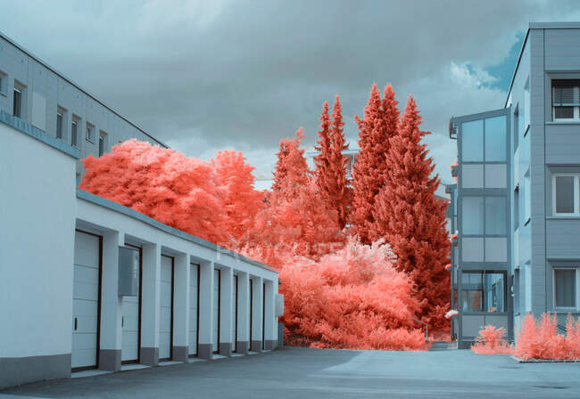 Helle Infrarotbäume wachsen in der Nähe schöner Häuser an einer ruhigen Vorstadtstraße in Linz, Österreich — Stockfoto