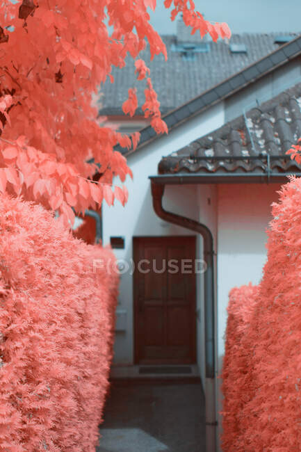 Яркие инфракрасные деревья растут рядом с прекрасными домами на тихой пригородной улице в Линце, Австрия — стоковое фото