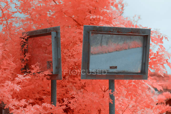 Два грандіозні дзеркала, розташовані поблизу чудового інфрачервоного дерева на вулиці Лінц (Австрія). — стокове фото