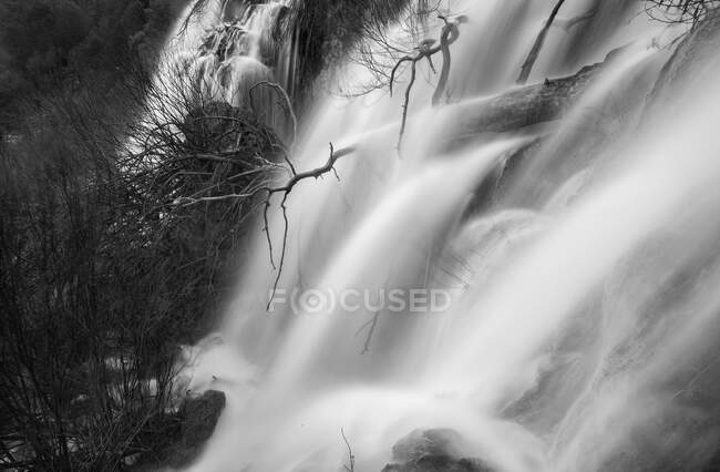 Wonderful waterfall near tree — Stock Photo