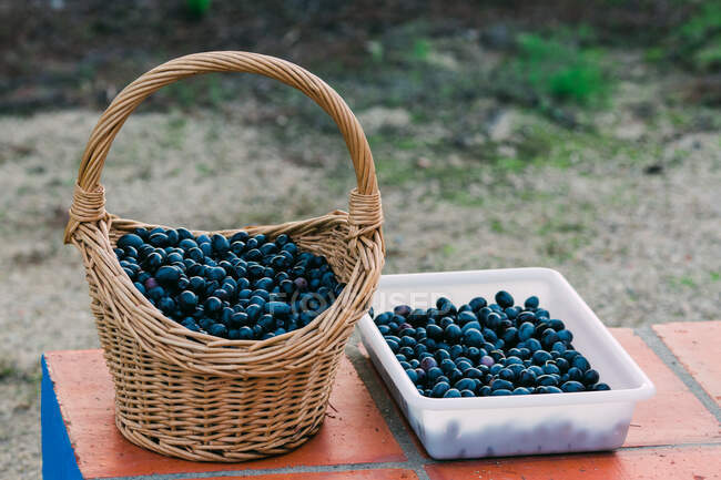 Basket and tray with black olives — Stock Photo