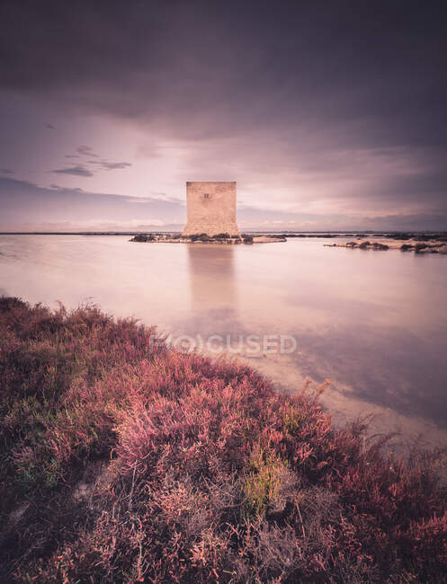 Maravillosa torre de vigilancia en lago tranquilo en día nublado - foto de stock