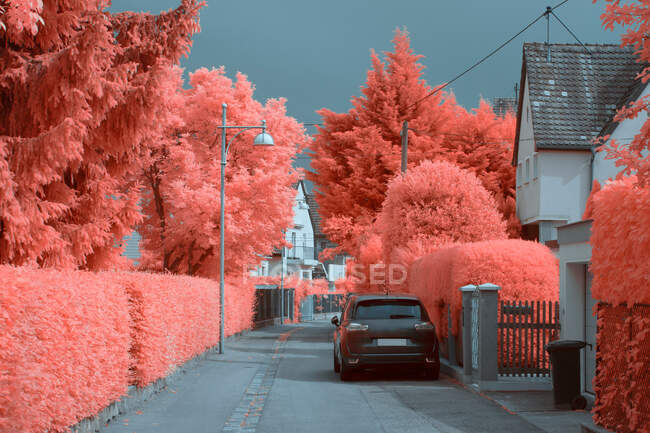 Arbres infrarouges lumineux poussant près de belles maisons dans une rue tranquille de Linz, Autriche — Photo de stock
